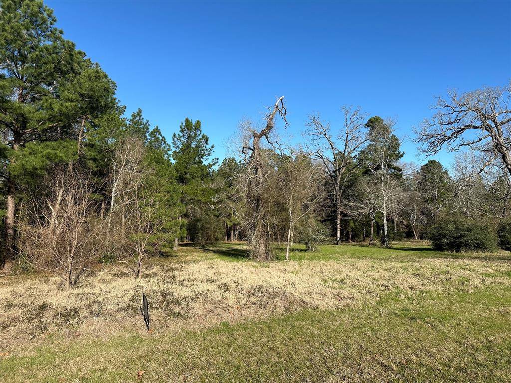 Trinity, TX 75862,Lot 11 Golden GRV