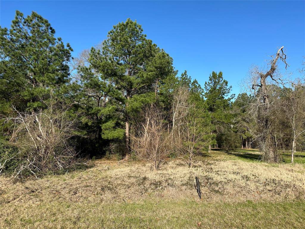 Trinity, TX 75862,Lot 11 Golden GRV