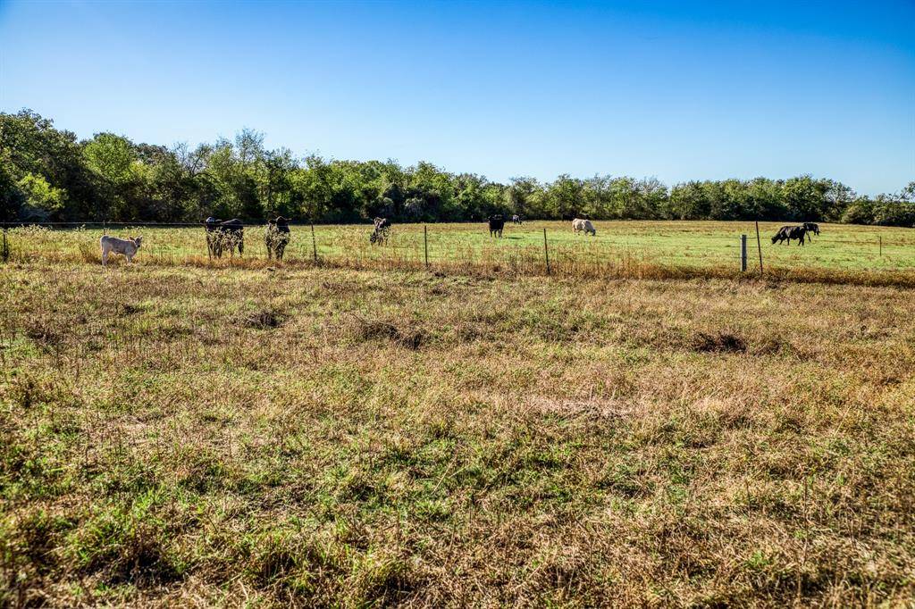 Brenham, TX 77833,07 Sawmill Road Tract 7