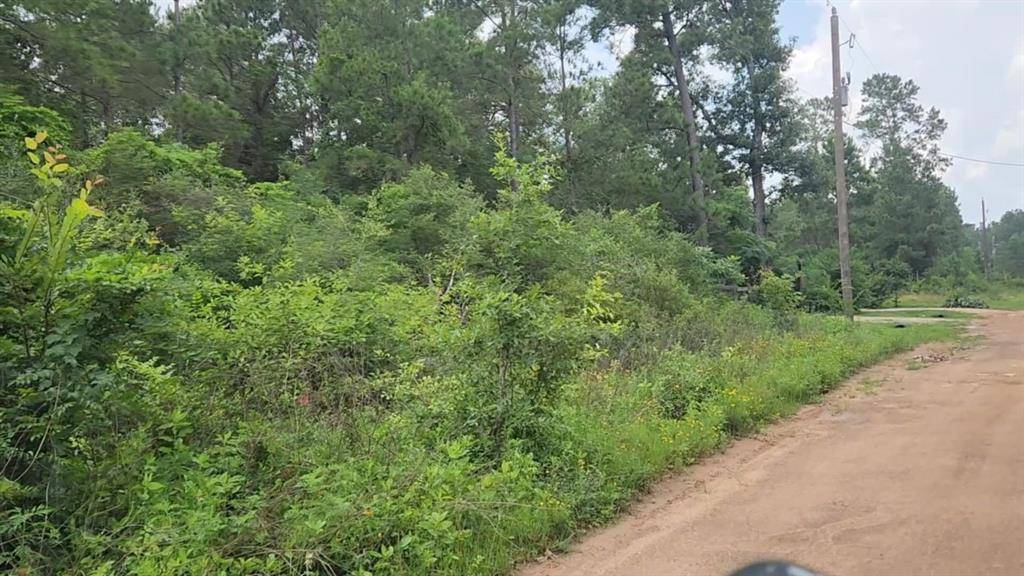 Plantersville, TX 77363,Lot 35 Scarlet Oak DR