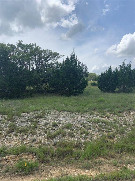 Blanco, TX 78606,102 William Tobin