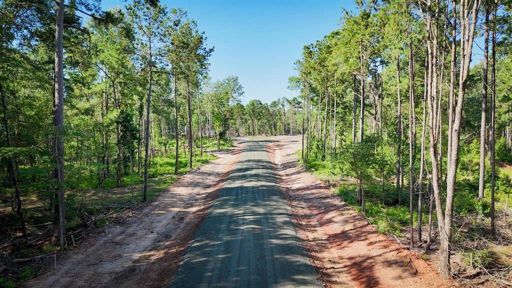 Pineland, TX 75968,018 PR 000