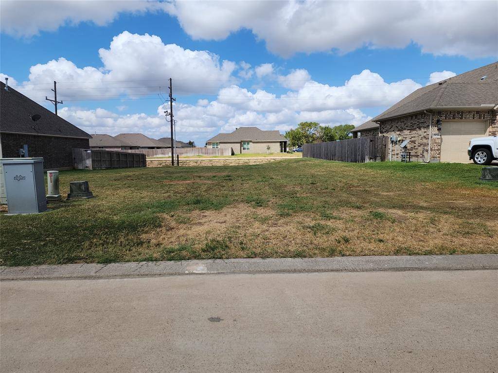 Navasota, TX 77868,TBD Birdie CT