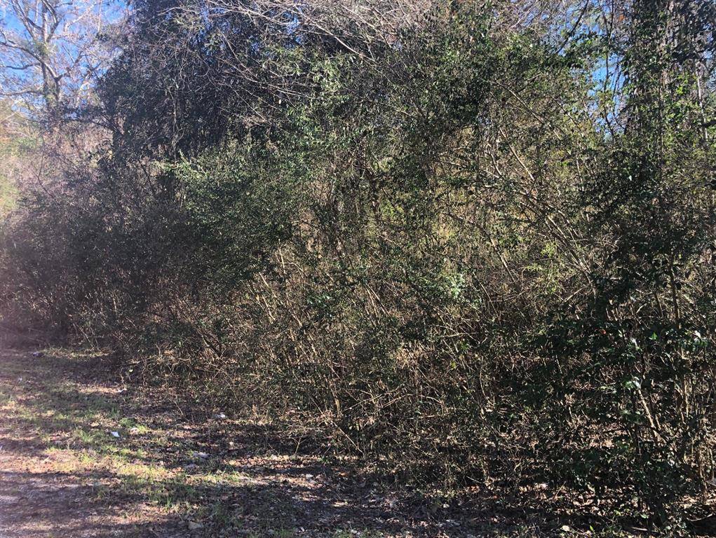 Coldspring, TX 77331,Lot 42 & 43 Hill LN