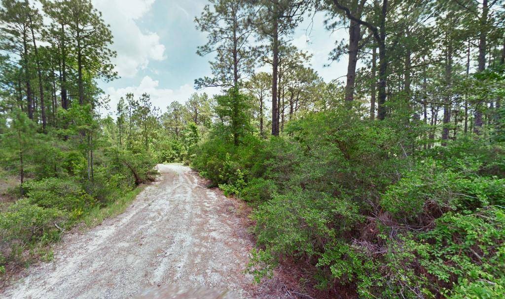 Brookeland, TX 75931,Lot 136 Sugi LN