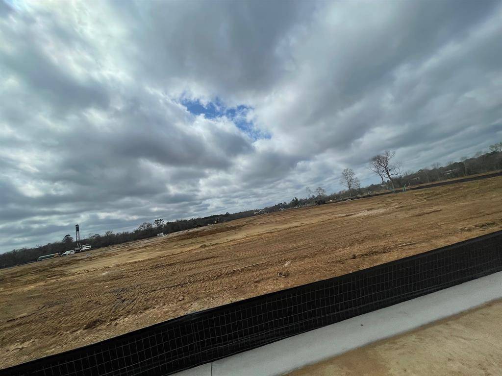 Willis, TX 77318,11858 Serena's Song DR