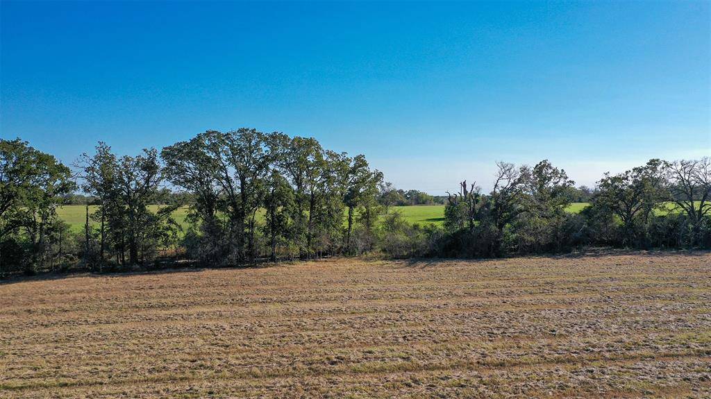 Bedias, TX 77831,Lot 3 County Rd 229