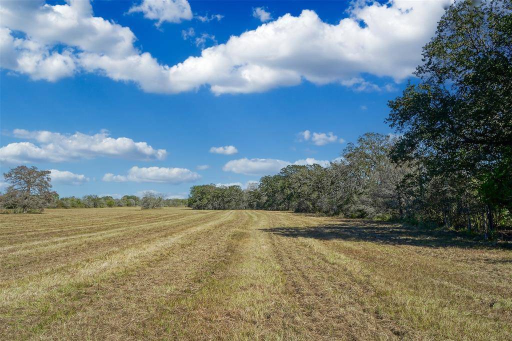 Bedias, TX 77831,Lot 3 County Rd 229