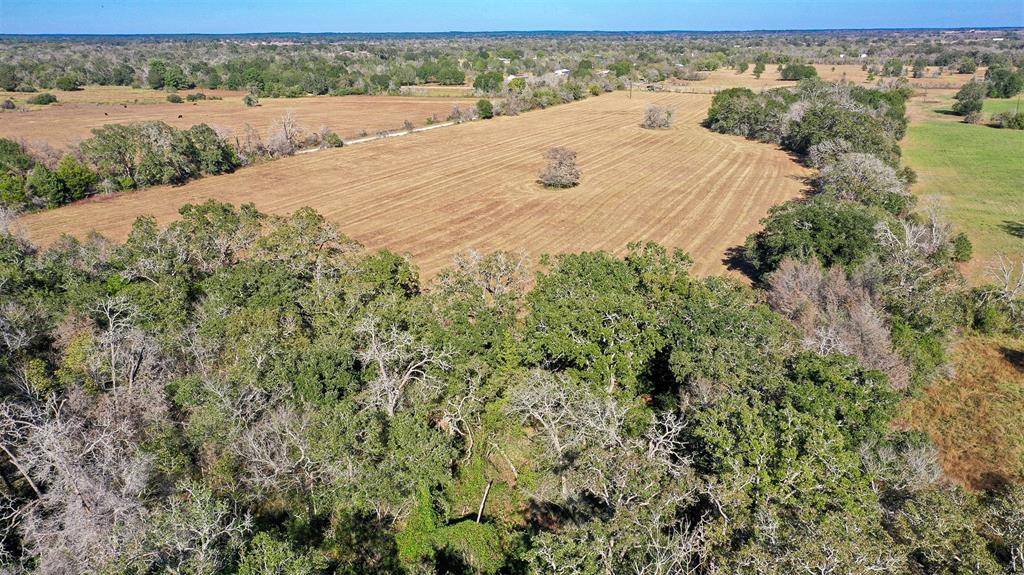 Bedias, TX 77831,Lot 3 County Rd 229