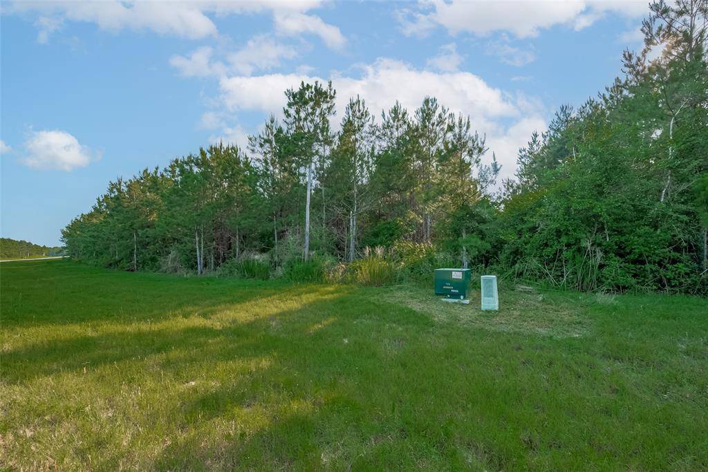 Willis, TX 77378,15743 Wooded Trail WAY