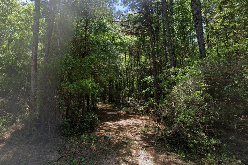 Livingston, TX 77351,TBD1 Outlaw Bend RD