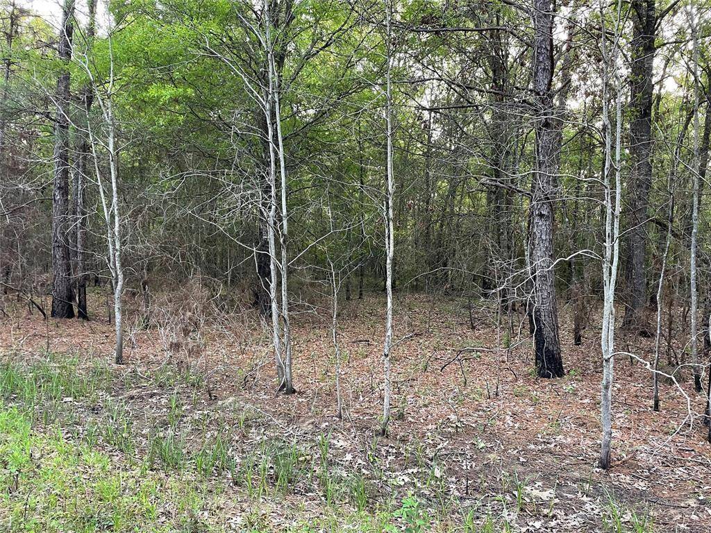 Livingston, TX 77351,Lot 430 Parkpine ST