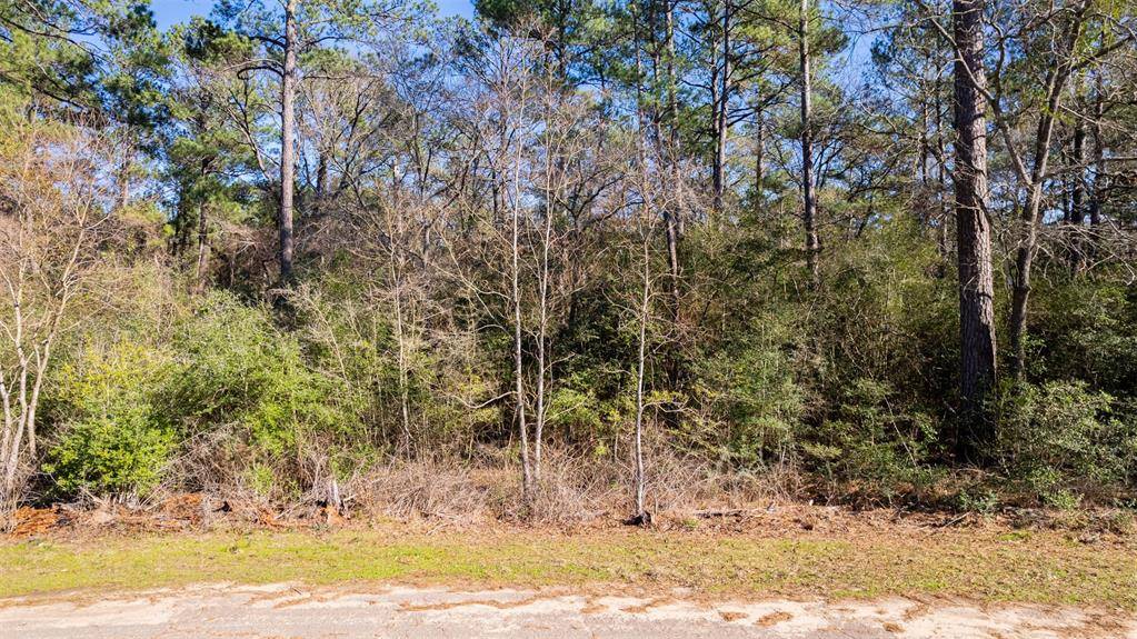 Plantersville, TX 77363,Lot 26-5 Blue Lake DR