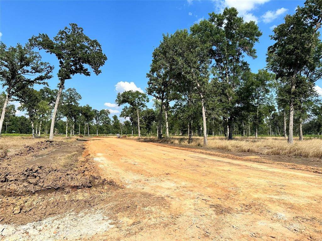 Livingston, TX 77351,Lot 37 Island View Estates