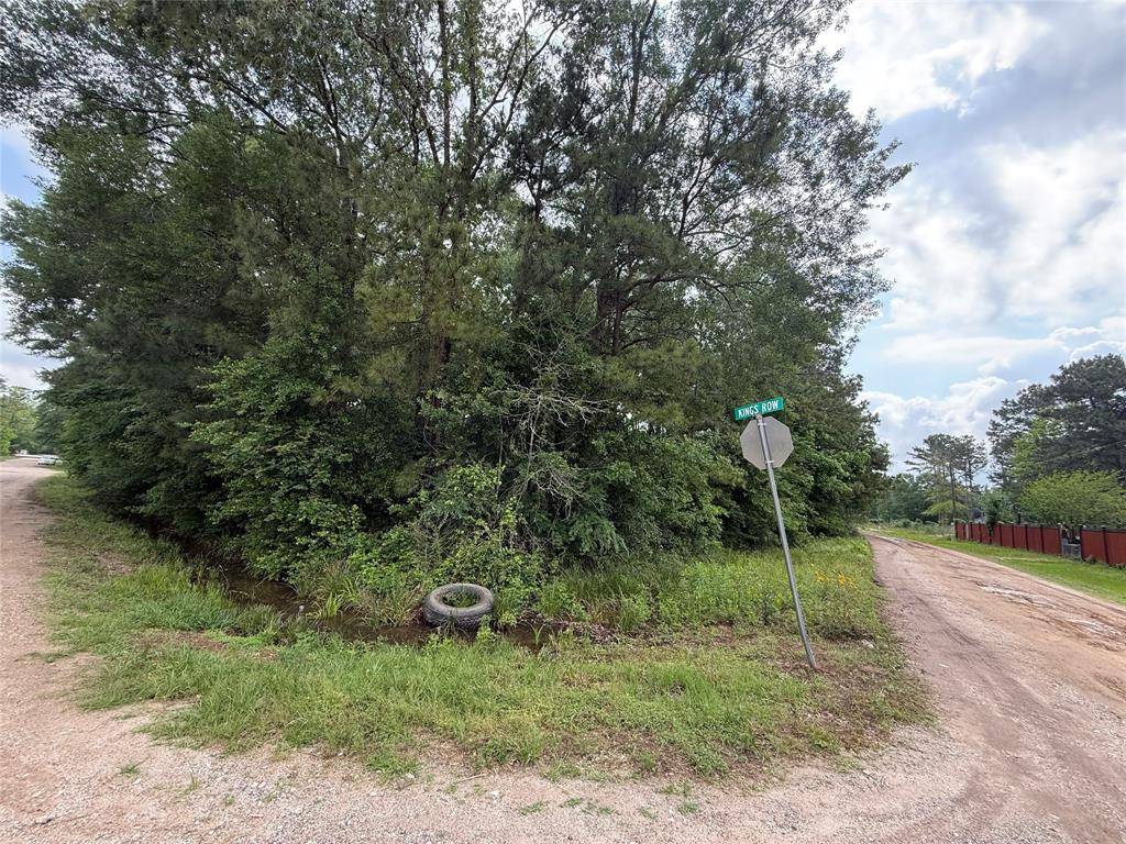 New Caney, TX 77357,19169 Kings ROW