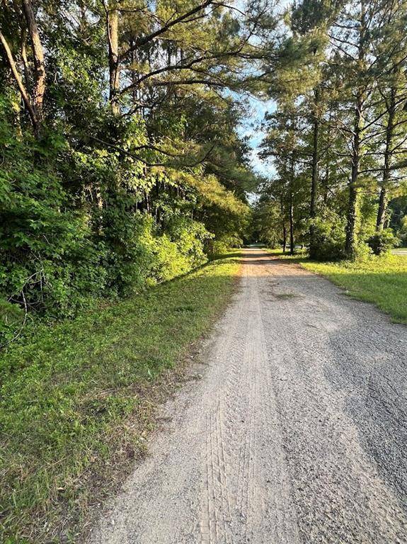 New Caney, TX 77357,19241 Kings ROW