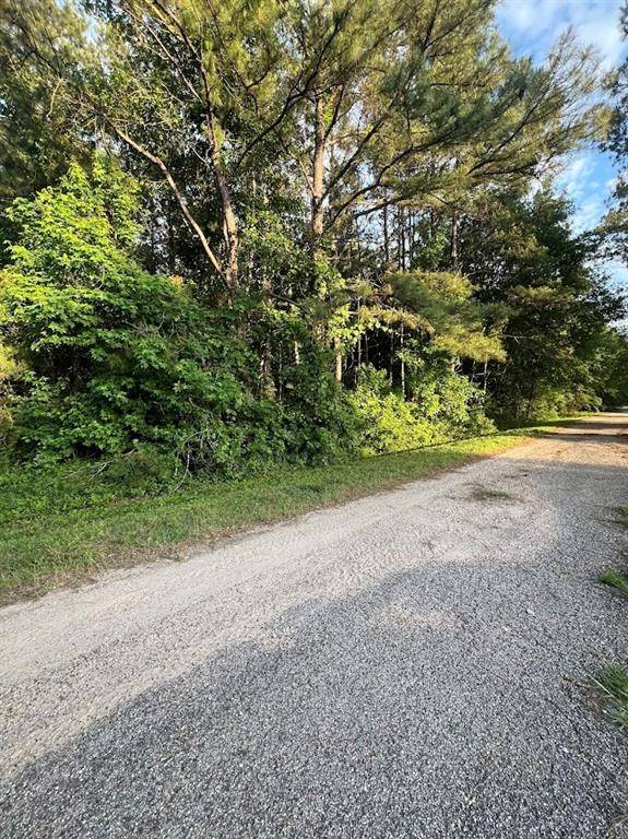 New Caney, TX 77357,19241 Kings ROW