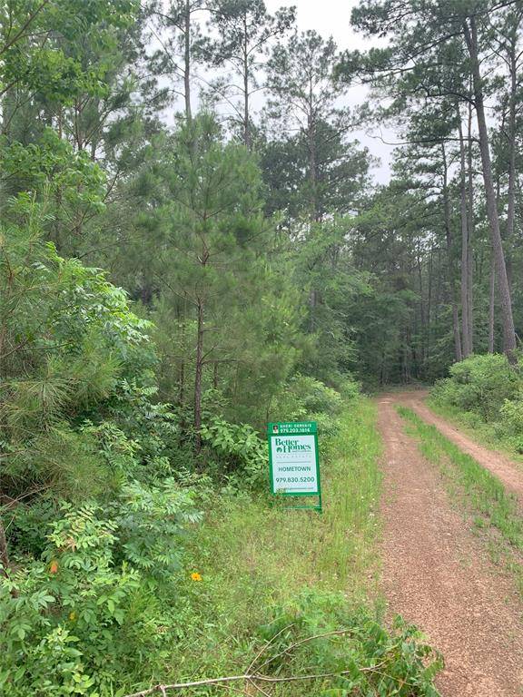 Plantersville, TX 77363,Lot 13 Cherry Tree LN