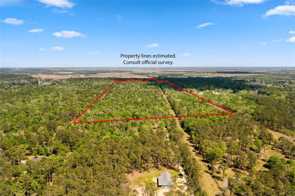 Liverpool, TX 77577,0000 County Road 192