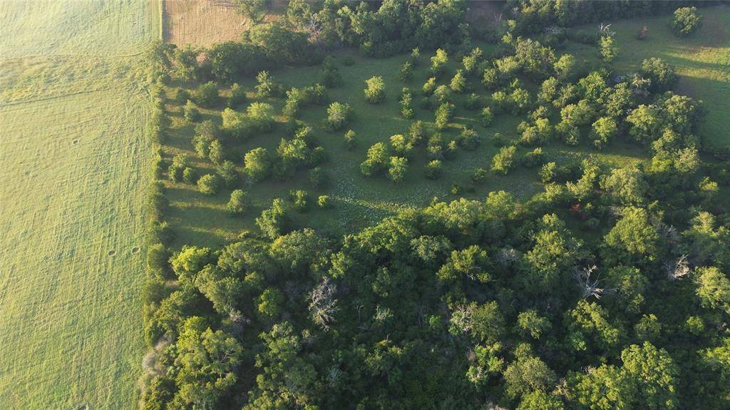 Bryan, TX 77808,TBD FERRILL CREEK