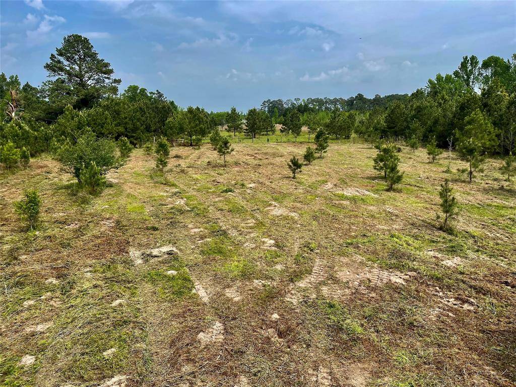 Woodlake, TX 75865,0000 Bill Rasbeary Rd