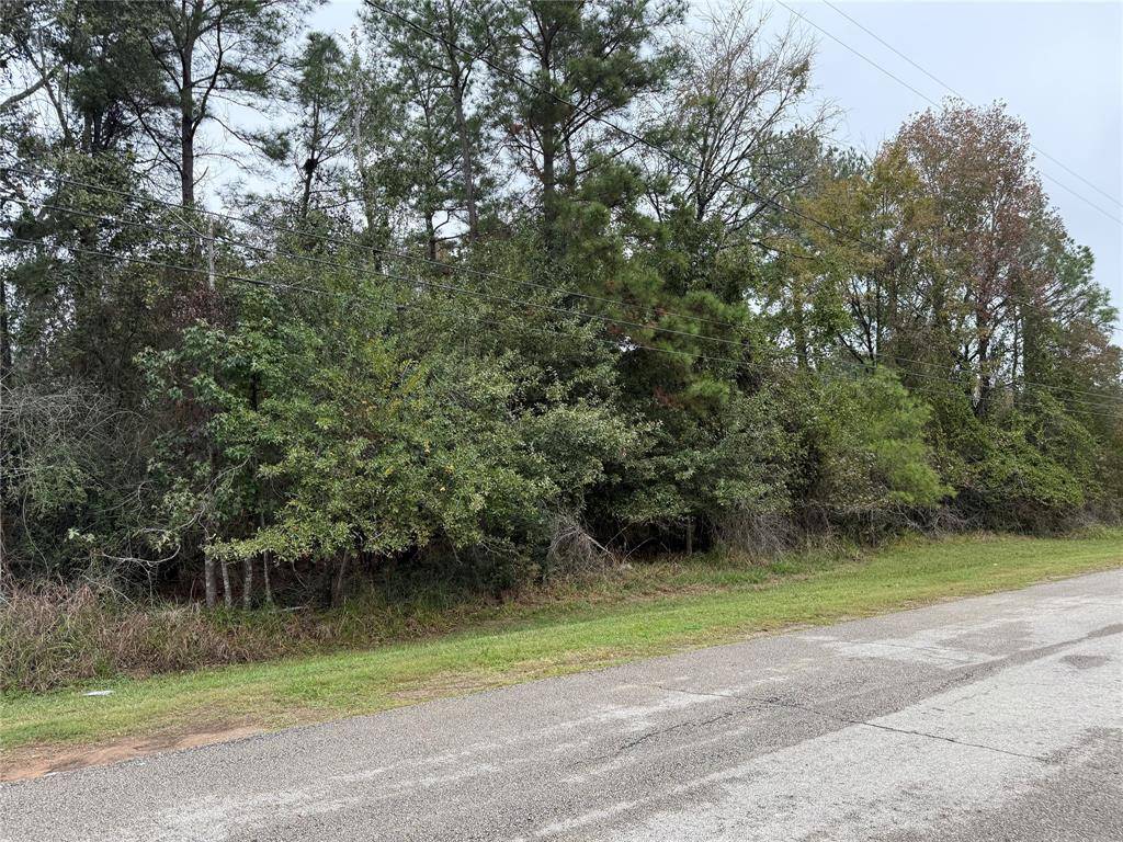 Magnolia, TX 77354,Lot 43 Durango DR