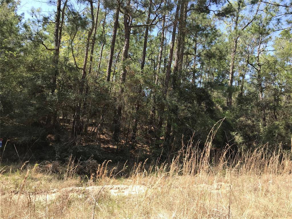 Onalaska, TX 77360,tbd lot 29 Parkview DR