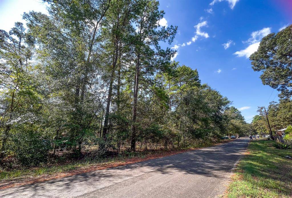 Plantersville, TX 77363,TBD W Hollyhill Drive