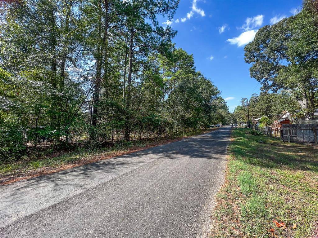 Plantersville, TX 77363,TBD W Hollyhill Drive