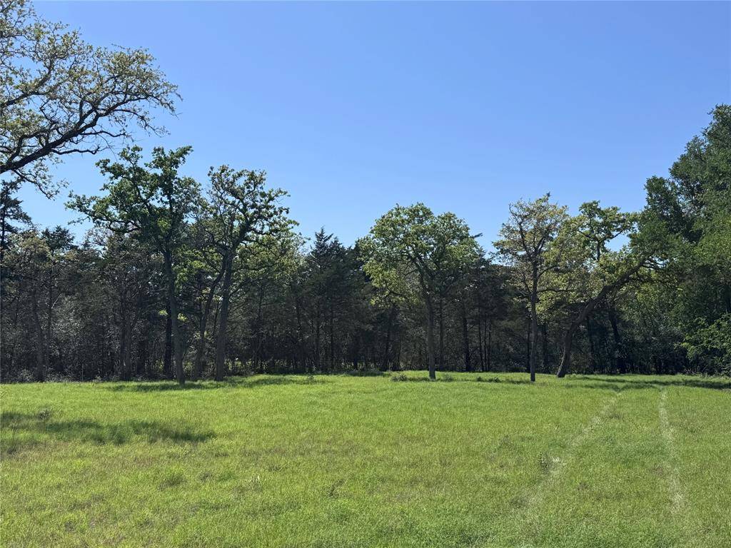 Schulenburg, TX 78956,4655 Krischke