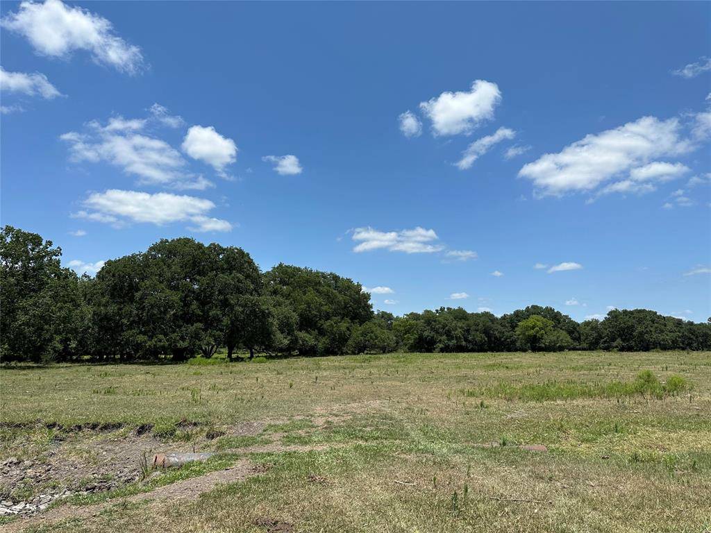 Needville, TX 77461,00 Davis Estate RD