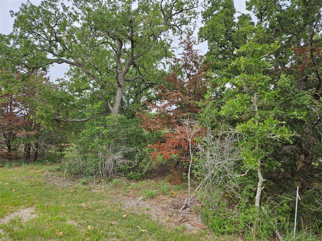 Somerville, TX 77879,LOT 33 Apache DR