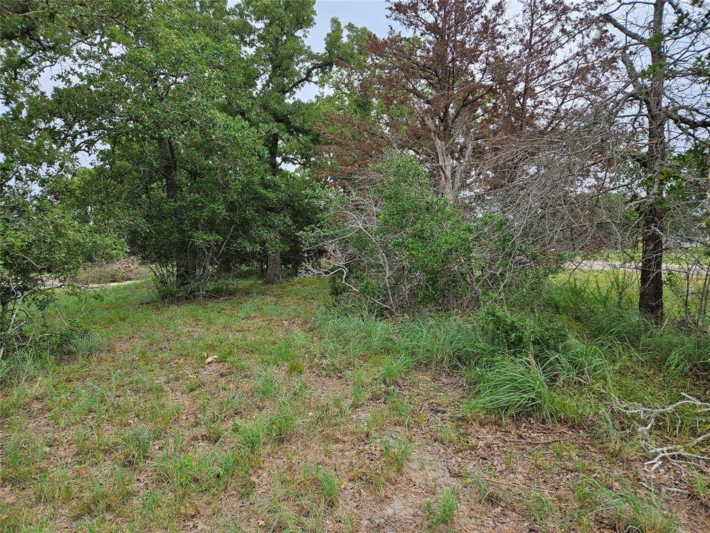 Somerville, TX 77879,LOT 33 Apache DR