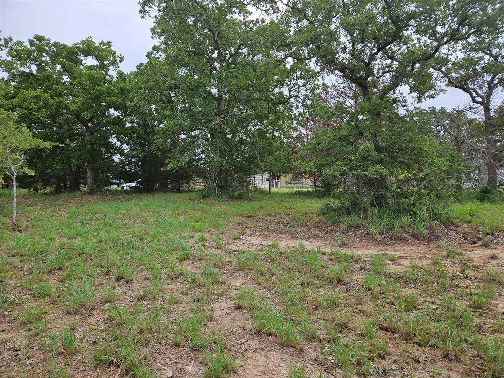 Somerville, TX 77879,LOT 33 Apache DR