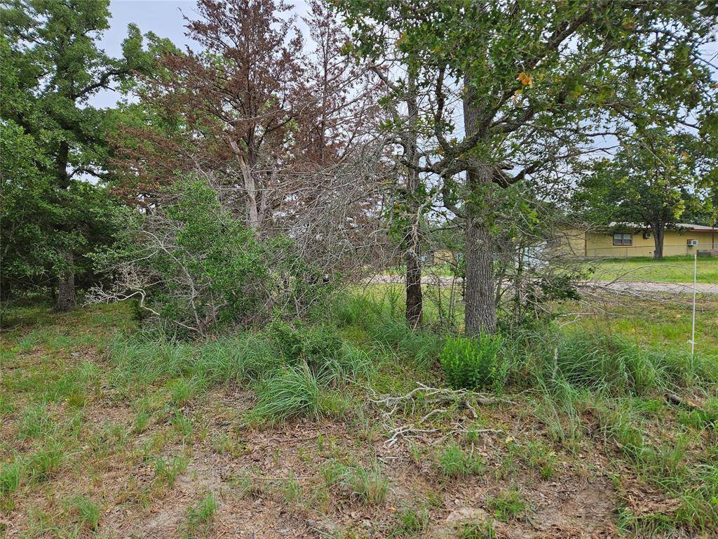 Somerville, TX 77879,LOT 33 Apache DR