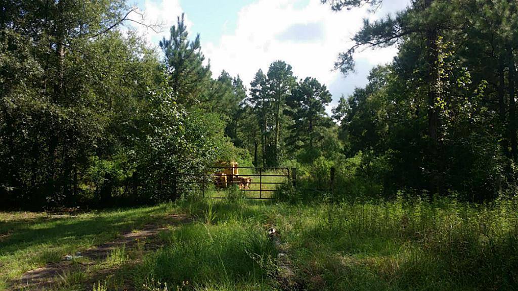 Conroe, TX 77301,000 Firetower Rd