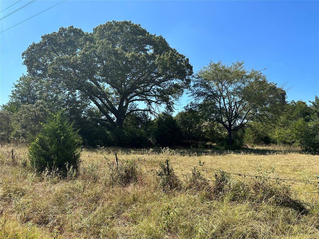 Buffalo, TX 75831,60AC CR 301