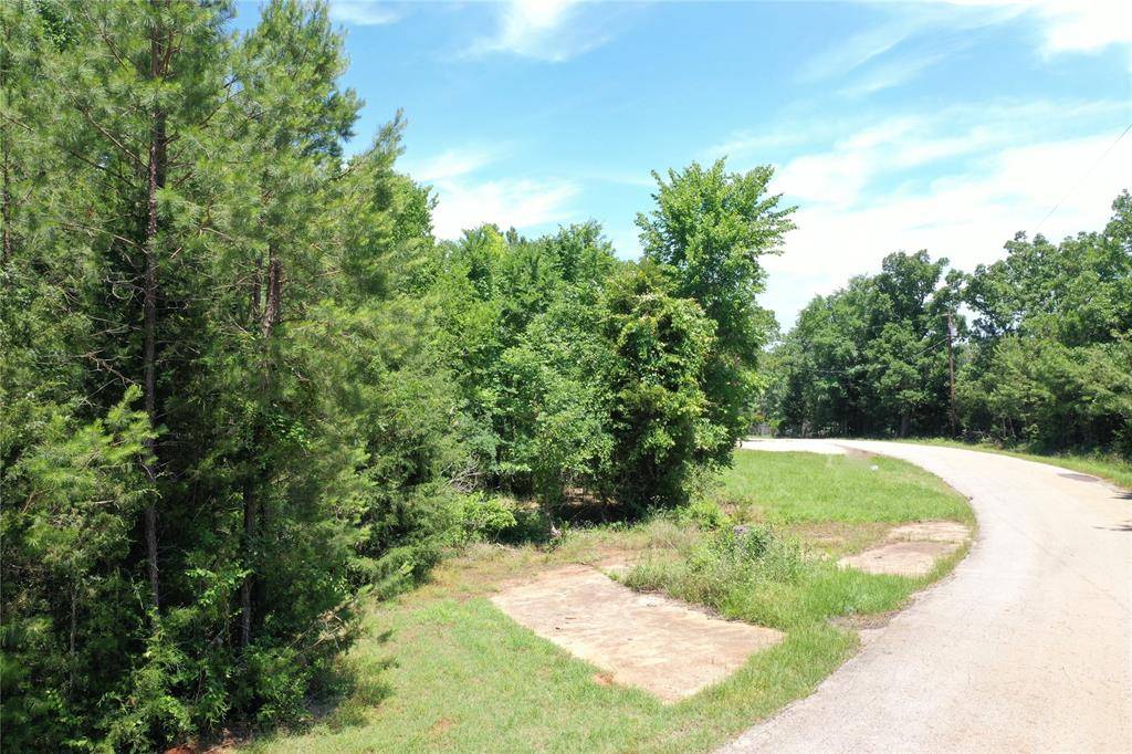 Palestine, TX 75801,000 County Road 2101