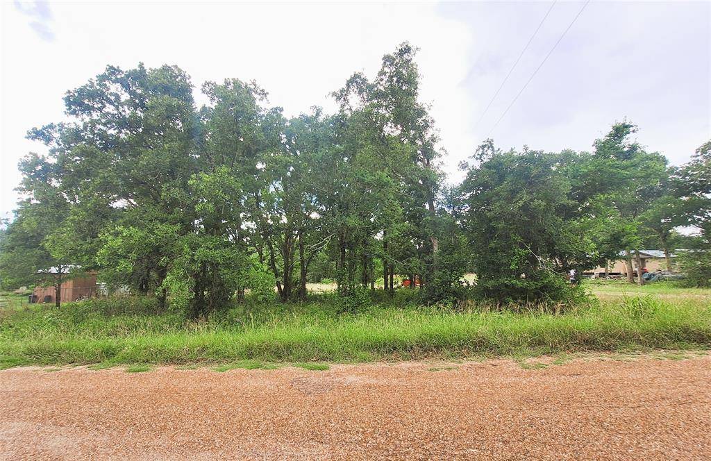 Somerville, TX 77879,108 LIVE OAK PATH