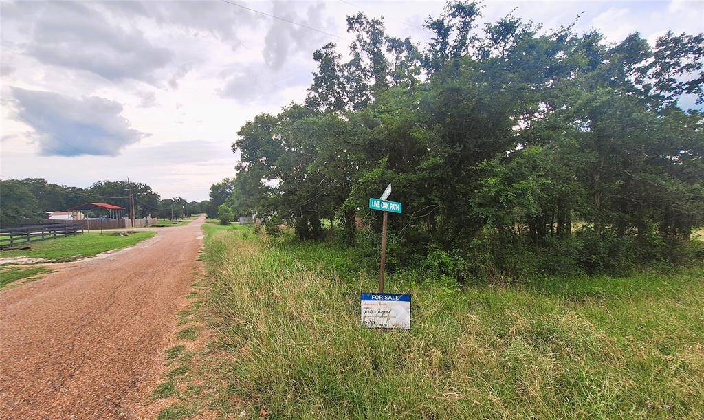 Somerville, TX 77879,108 LIVE OAK PATH
