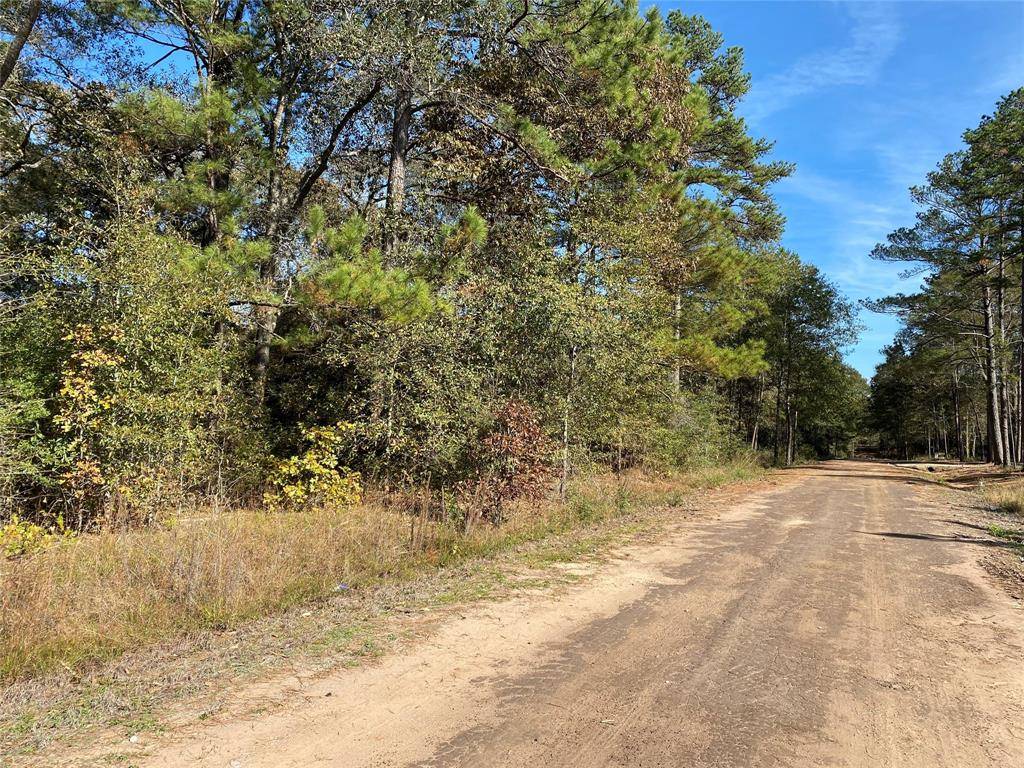 Plantersville, TX 77363,Lot 31 Greenway DR