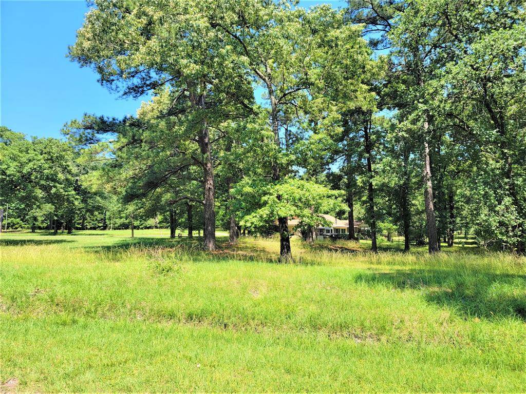 Trinity, TX 75862,Lot 18 Woodlands DR