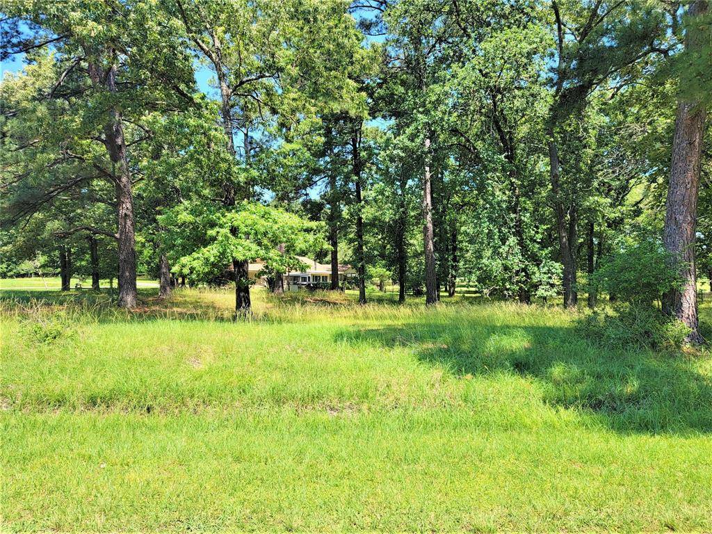 Trinity, TX 75862,Lot 18 Woodlands DR