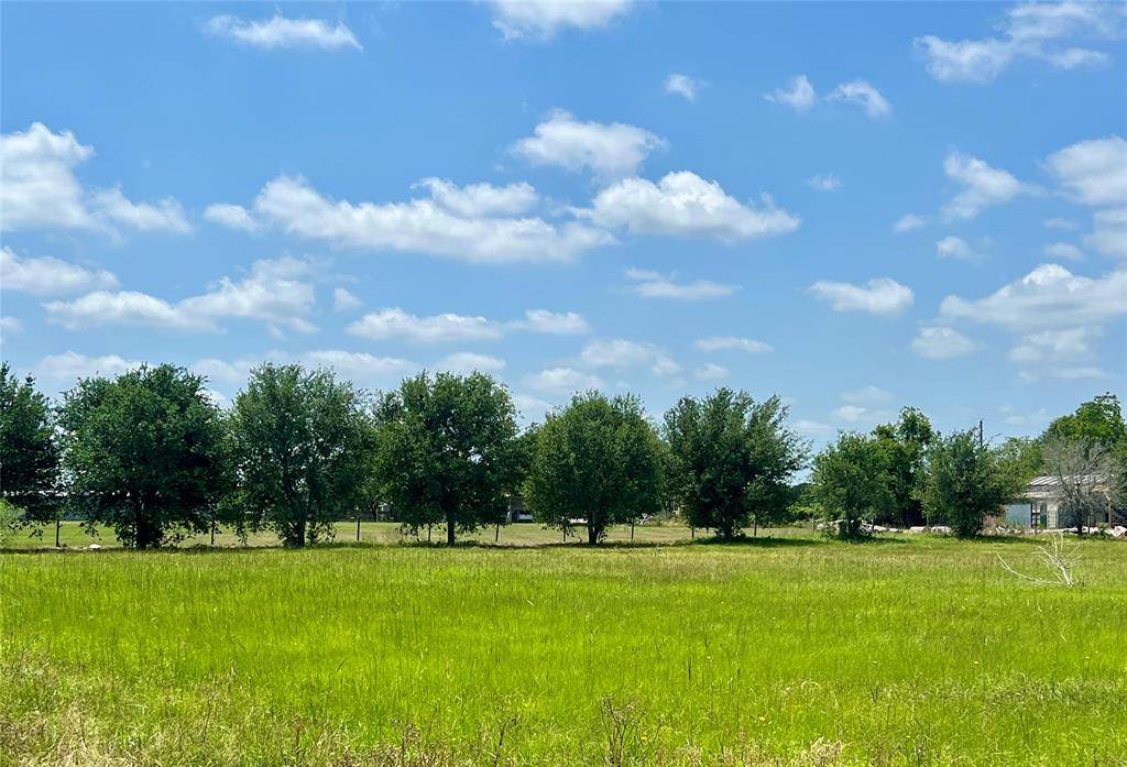 Sealy, TX 77474,402 Schultz RD S
