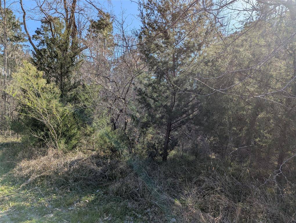 Coldspring, TX 77331,2 S Forest Cove LOOP