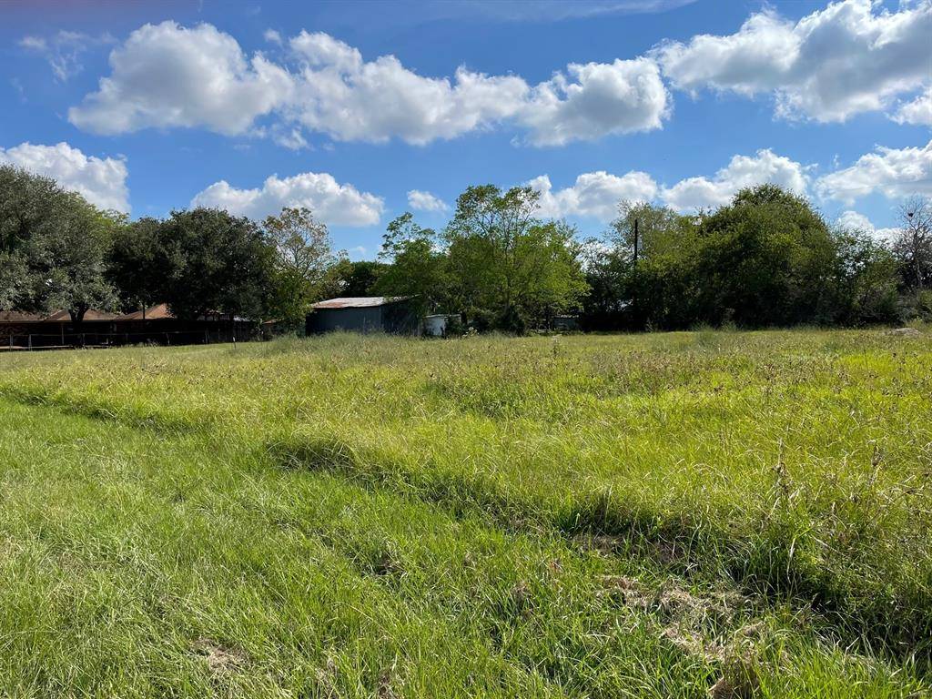 Needville, TX 77461,8124 Banker ST