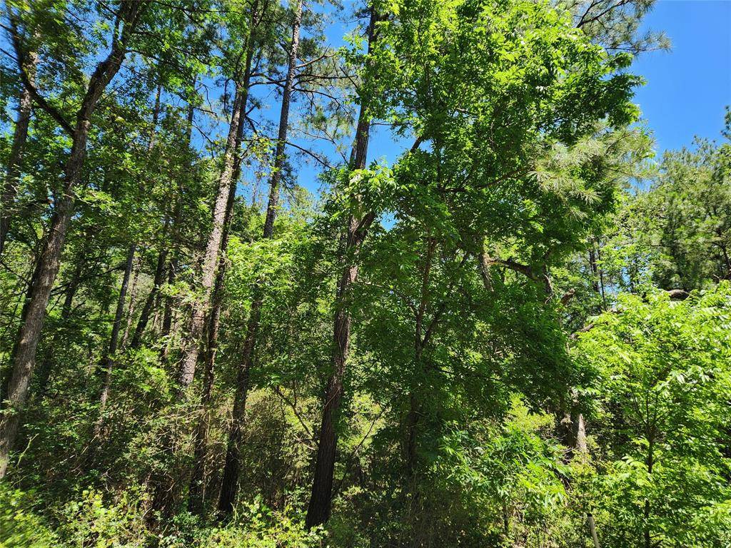 Plantersville, TX 77363,Lot 73 Pinebrook DR