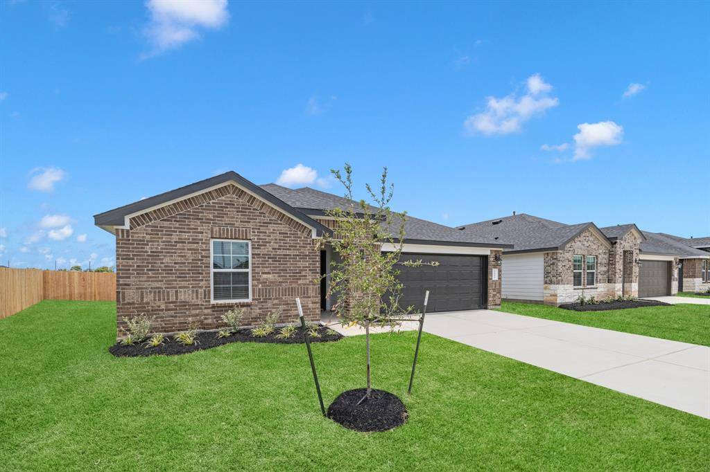 Rosharon, TX 77583,1011 Fringed Bluestar DR