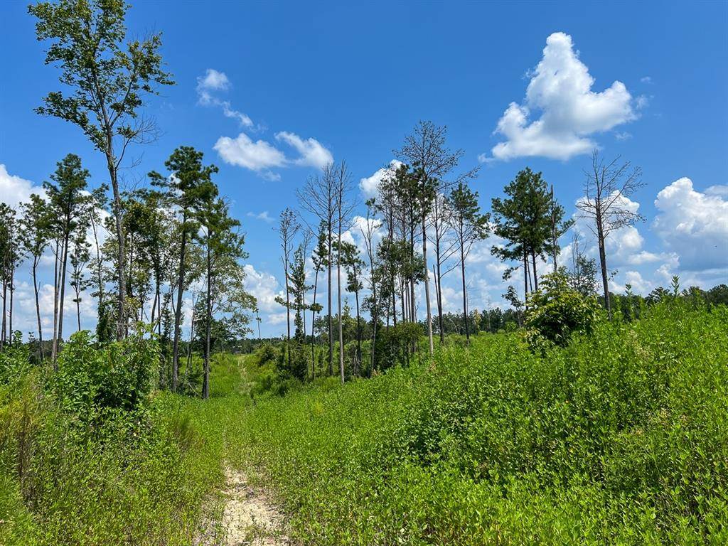 Burkeville, TX 75932,2 Highway 63