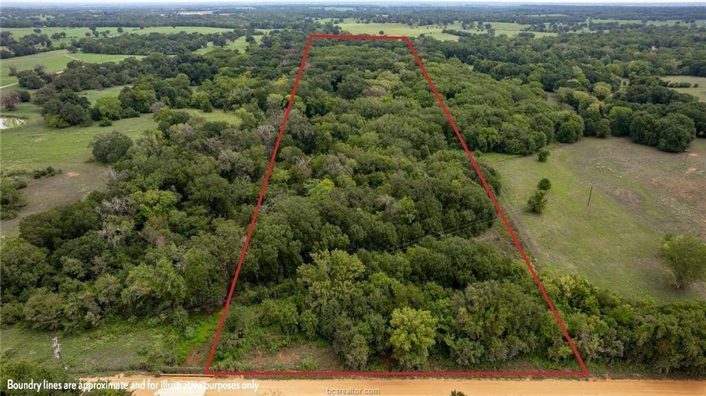 Gause, TX 77857,TBD (20 acres) County Road 358